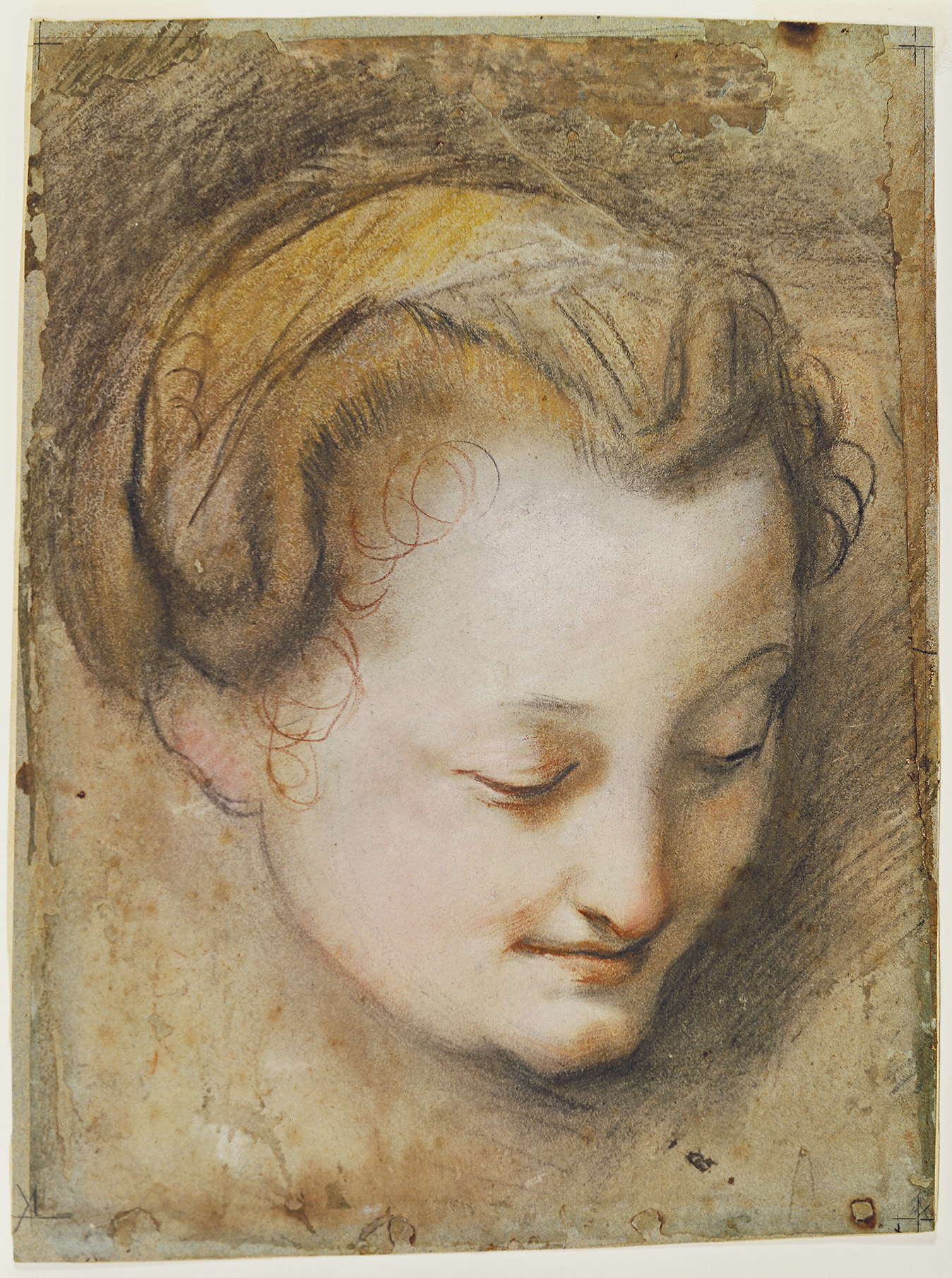 Barocci, Head of a Woman 