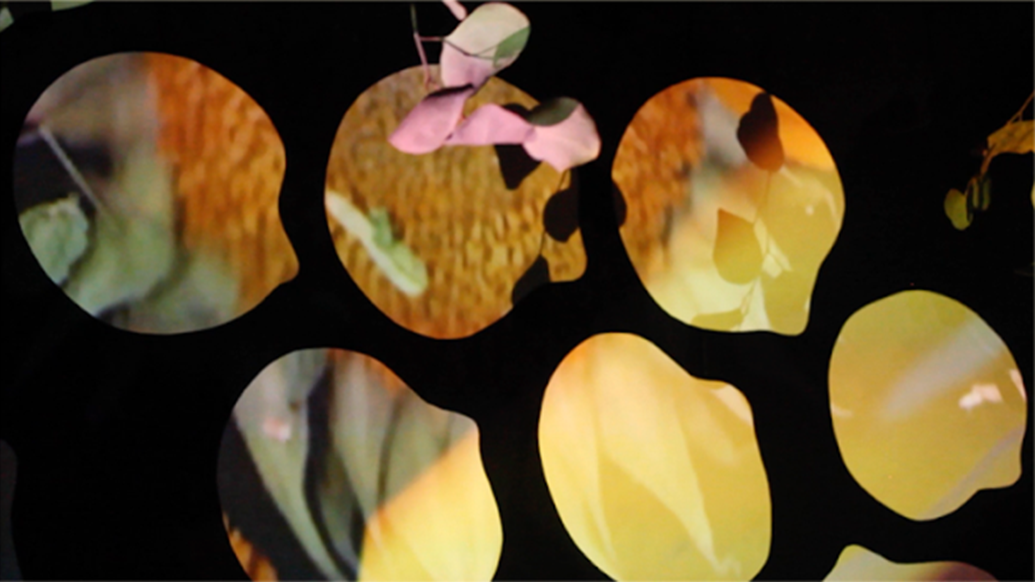 Still from a video installation showing bright fragments of nature images in the shape of large eucalyptus leaves projected onto a dark background.