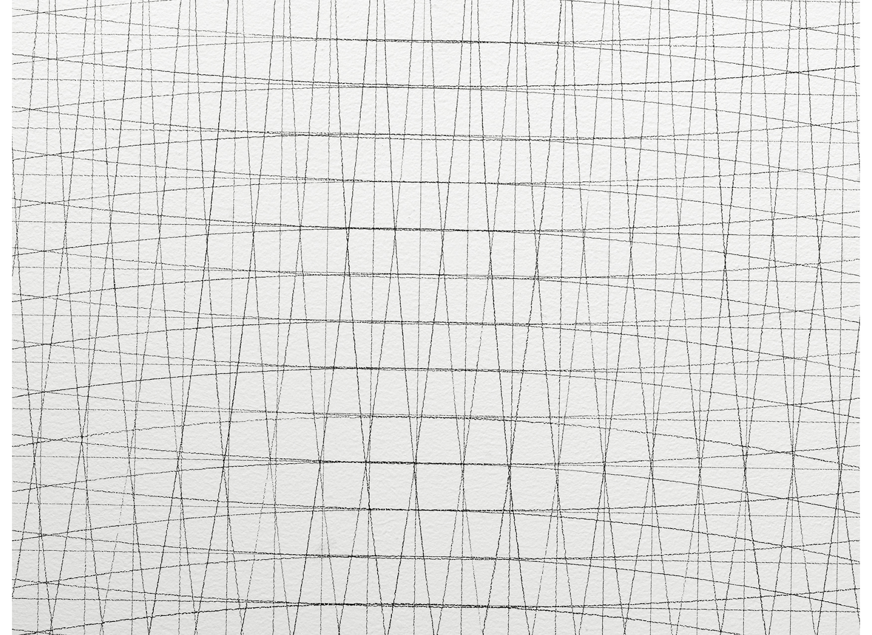 thin gray lines drawn in a slightly curved grid against a white background