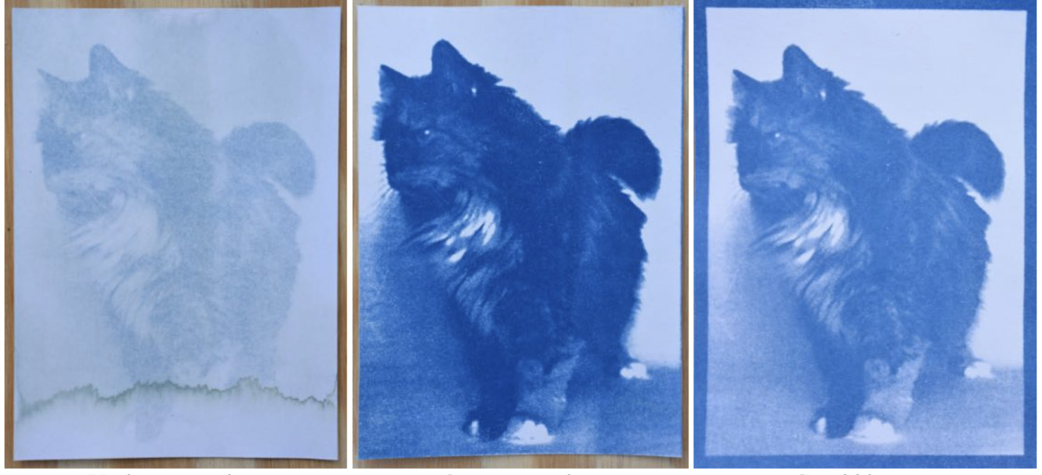 three cyanotype cats