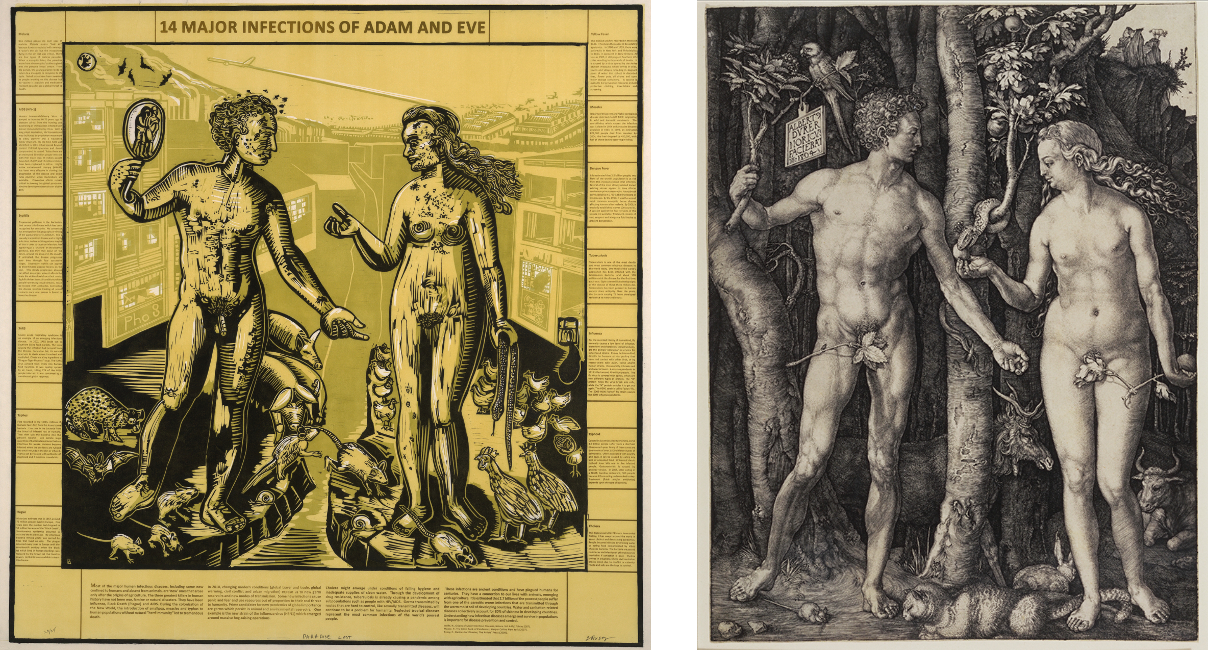 On the left, Avery’s linocut print in yellows, black, and white: Adam on the left holding a mirror reflecting his image and Eve’s. Animals surround them and one rat jumps across the water dividing them. Even holds a snake in her hand. Excerpts of text describing recent plagues and the heading “14 Major Infections of Adam and Eve” surround the scene. On the right, Durer’s engraving: Adam and Eve stand side by side surrounded by trees and animals. The serpent is biting the fruit in Eve’s hand.