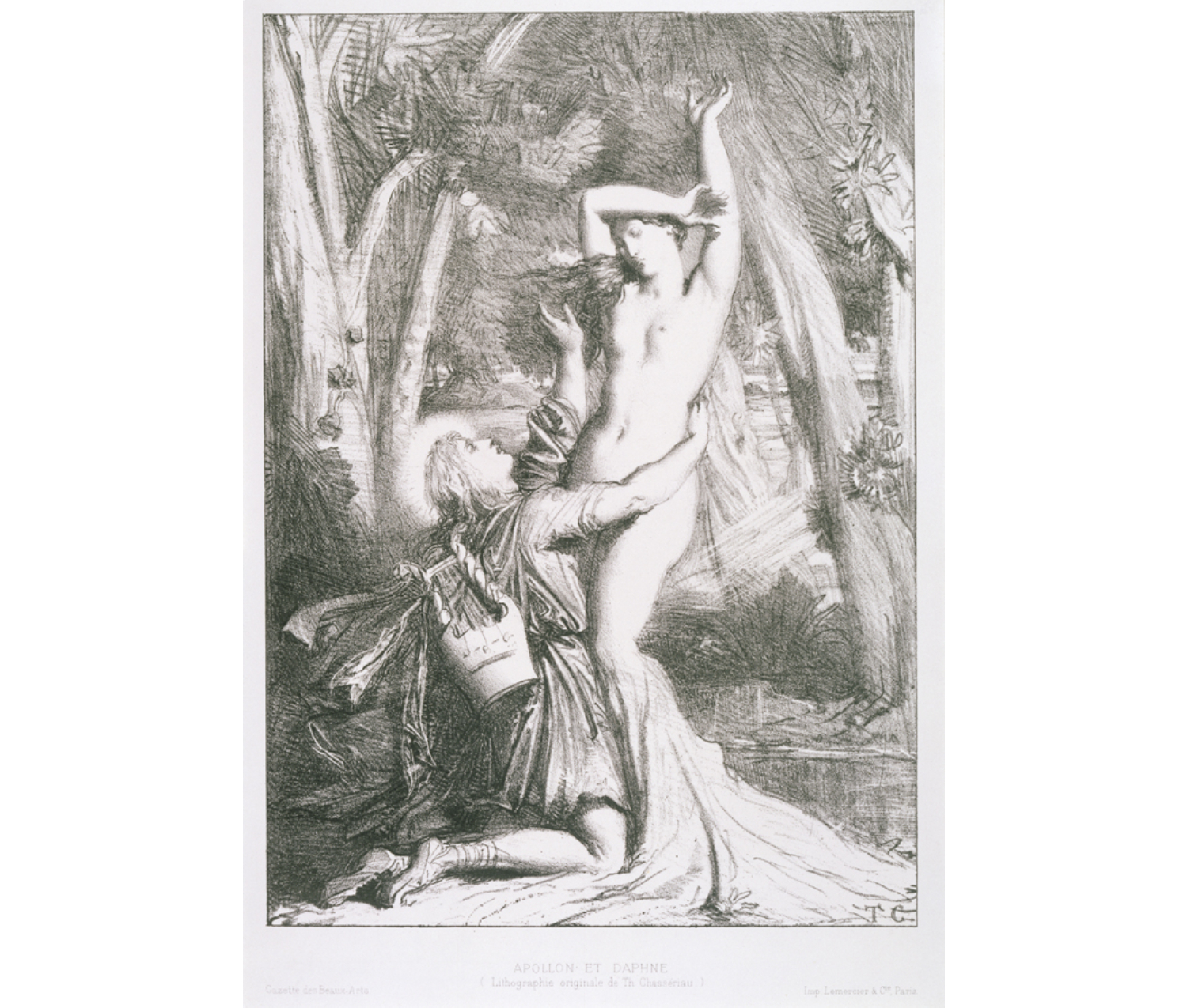 Print of Apollo, clearly distressed, on his knees with one arm strewn around the waist of Daphne, and the other gesturing in the air, while she is transforming into a tree. The figures are in a thicket of forest.