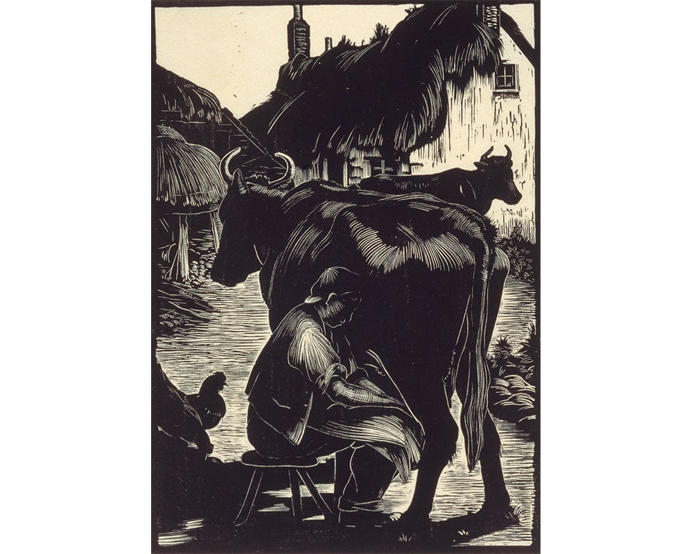 boy sitting on a chair and milking a cow