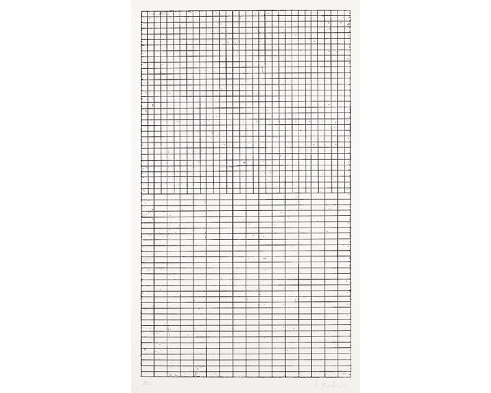 thin black lines arranged in a grid