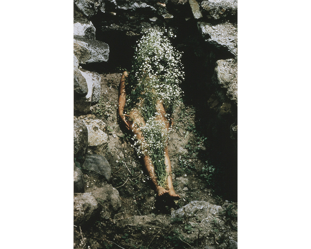 low rock walls around central area, nude female with arms by her sides lying supine underneath white long stemmed flowers