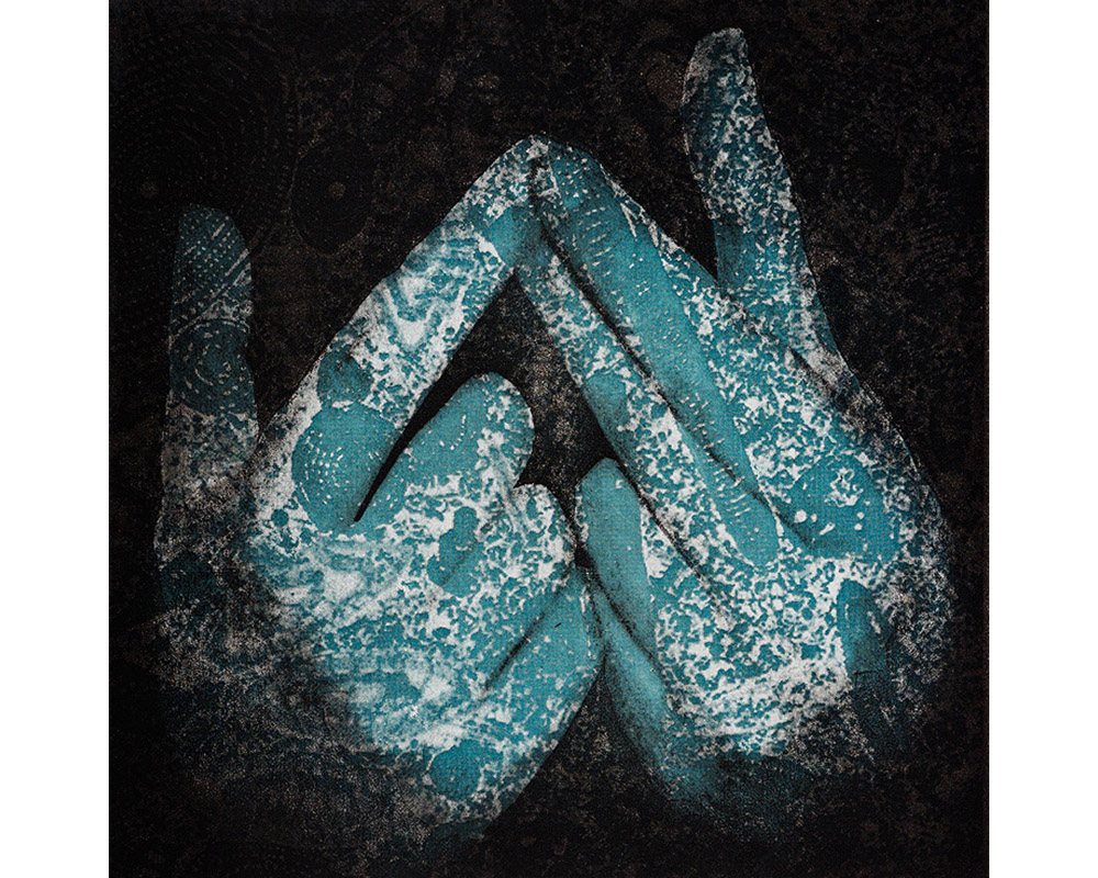 two hands in a prayer gesture, overlaid with blue and white images of microscopic plant parts 