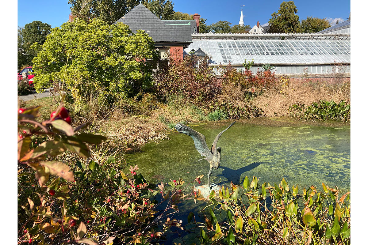 sculpture of bird with wings raised sits in center of small pool of water surrounded by plants