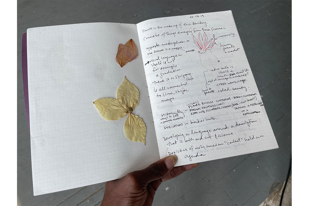 A hand is holding an open notebook with pressed flower petals and notes on planting tulips.