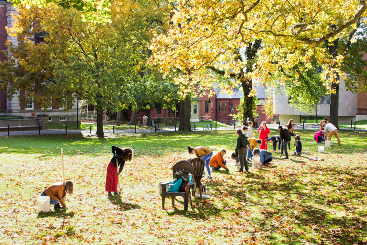 Students and staff planting tulips in a line across Seelye Lawn