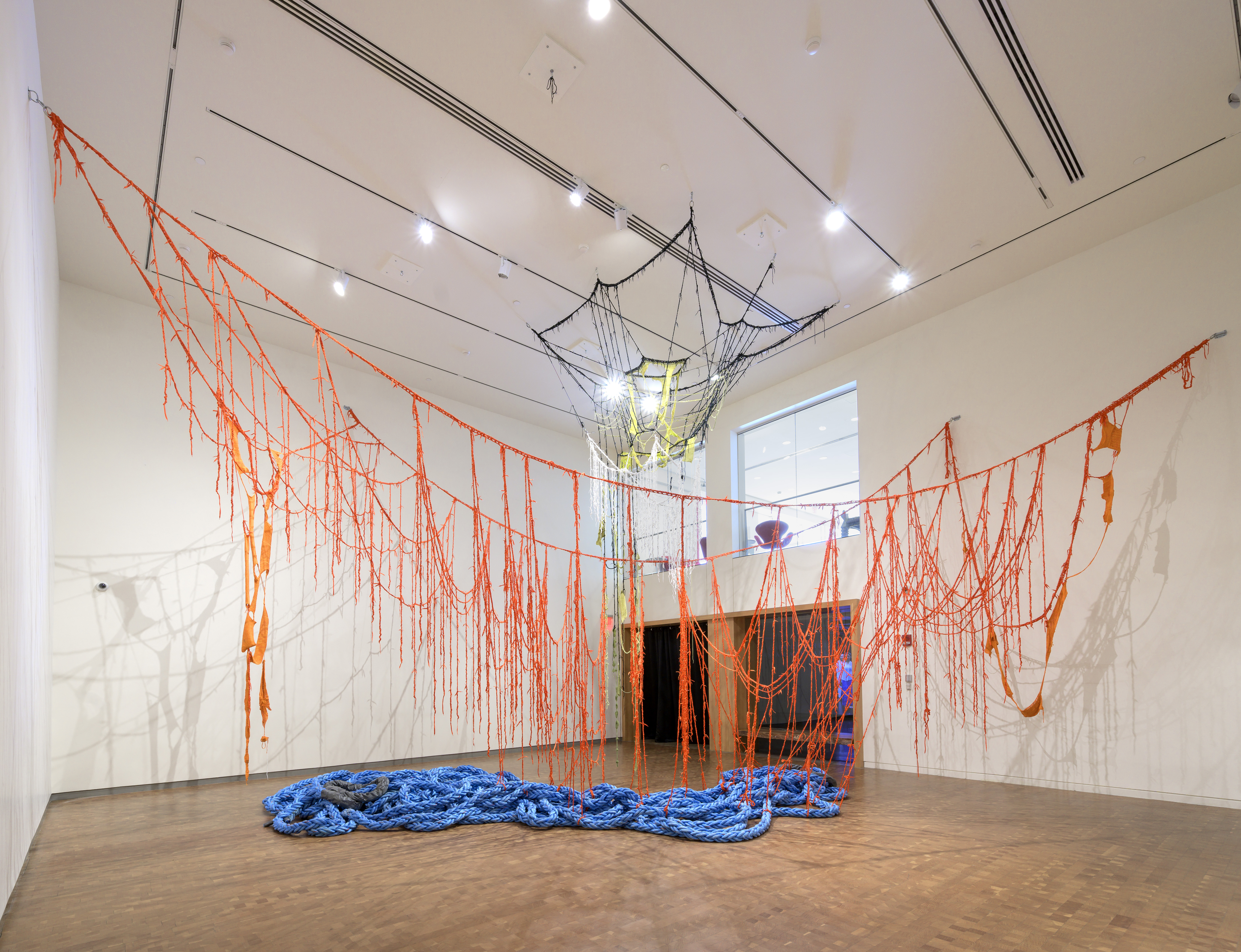 Red ropes hanging from a gallery ceiling with large knotted blue rope laying on the gallery floor