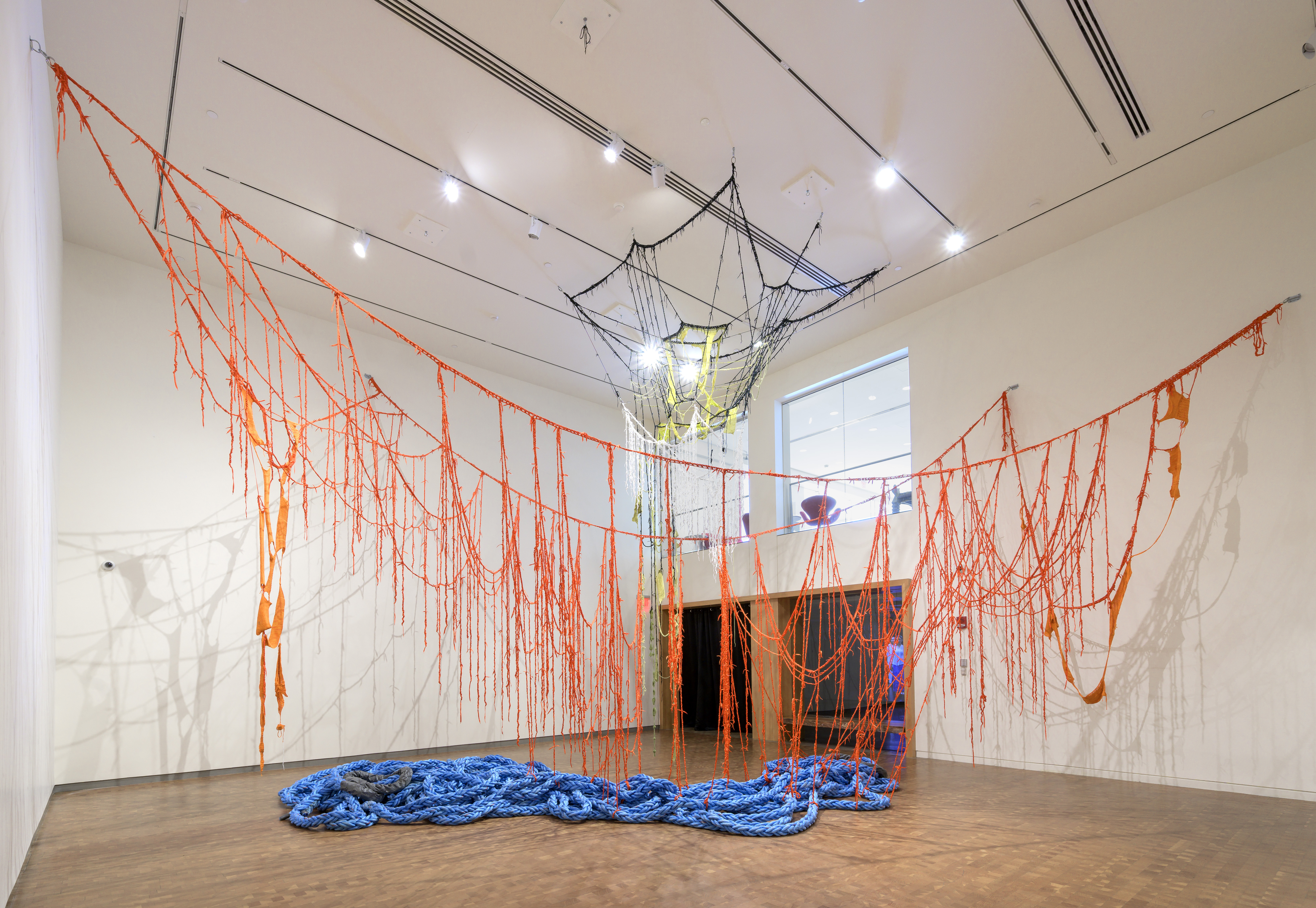 Red ropes hanging from a gallery ceiling with large knotted blue rope laying on the gallery floor