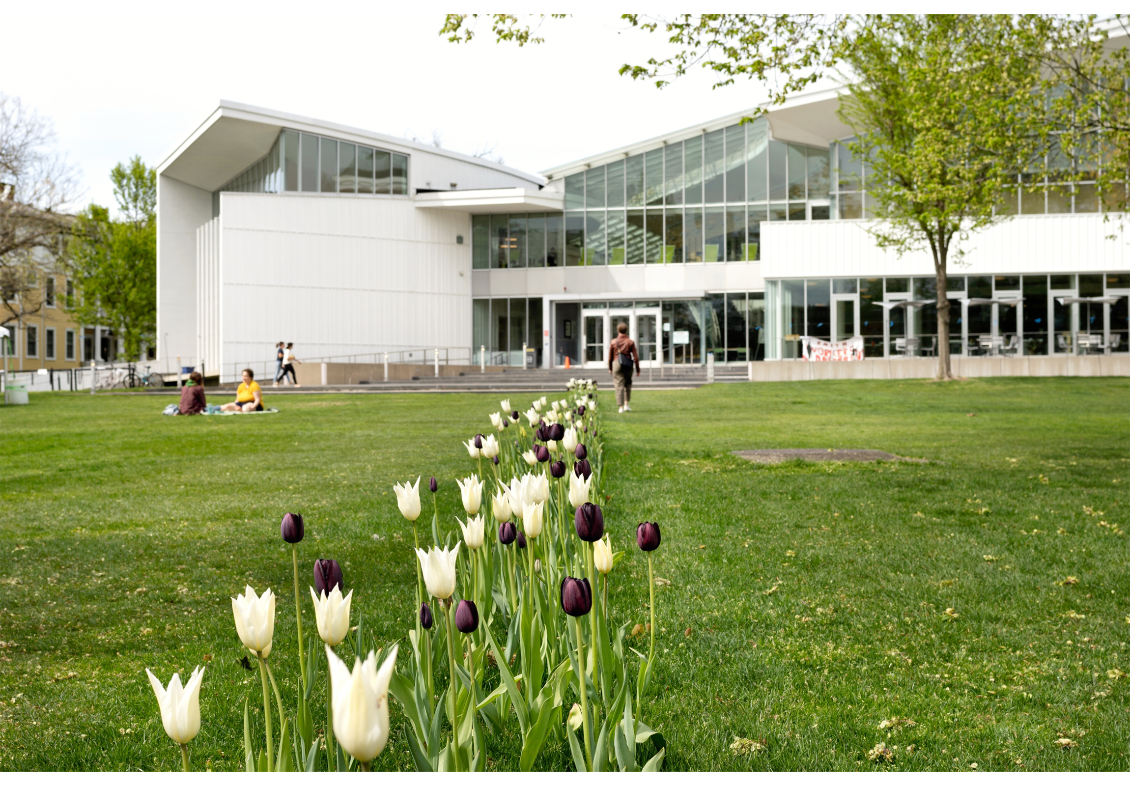 line of black and white tulips leading up to a white modern building with five people walking/sitting in background
