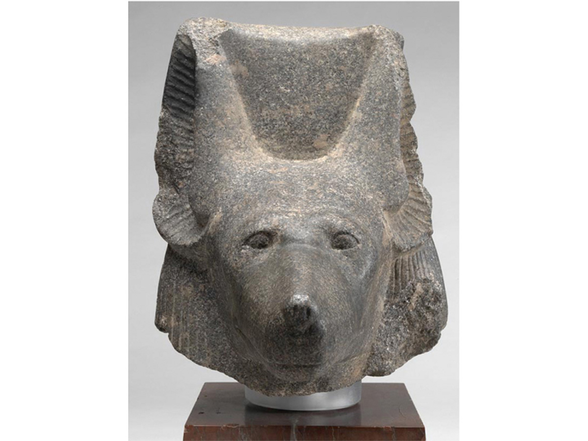 Head of stone Egyptian carving of God Anubis, looks like a jackal