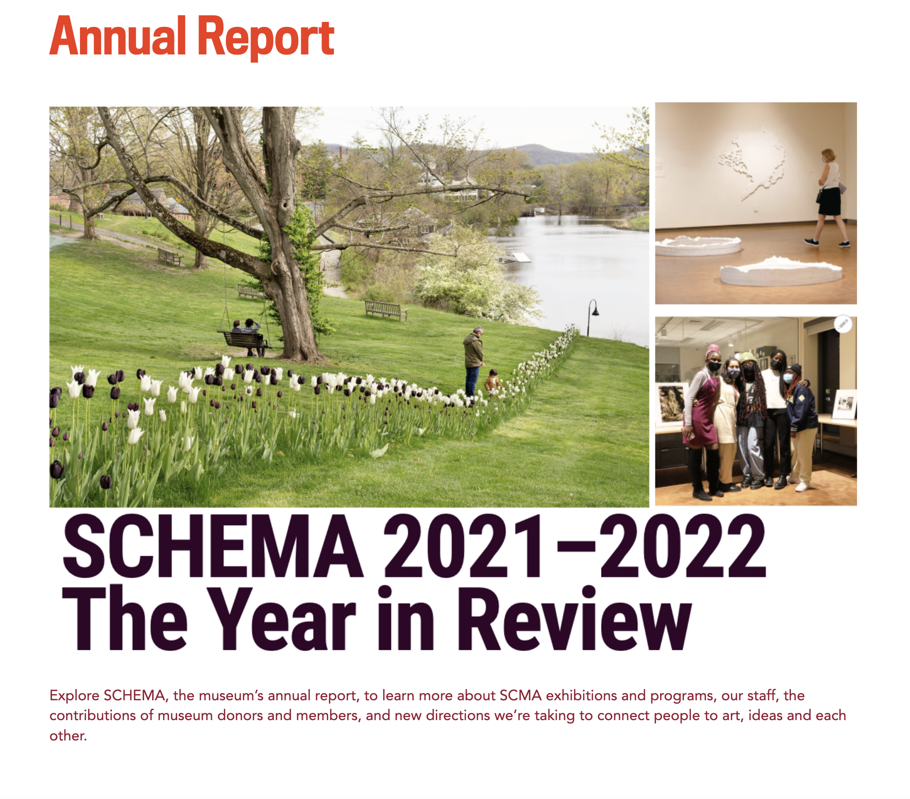 Graphic of Annual Report SCHEMA 2021–2022 The Year in Review