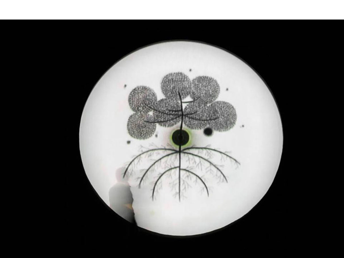 Circule of white with plant-like materials within it with shadow of. person in the circle