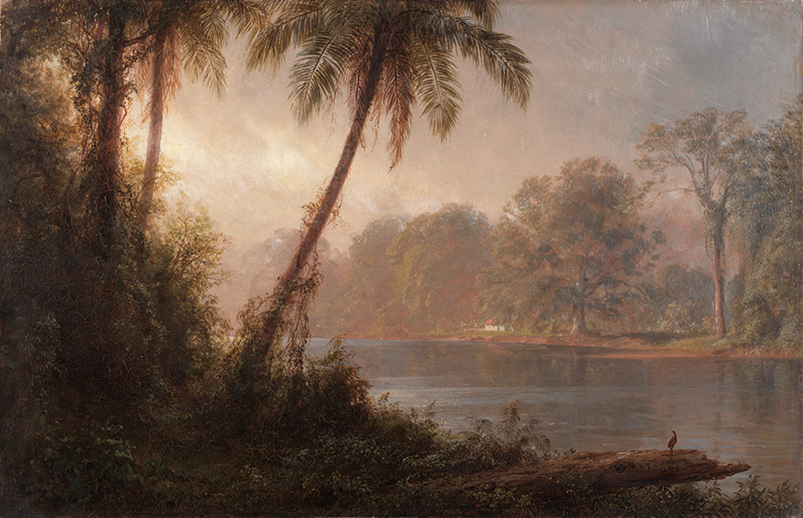 landscape with palm trees in the foreground and body of water in the background with light colored sky