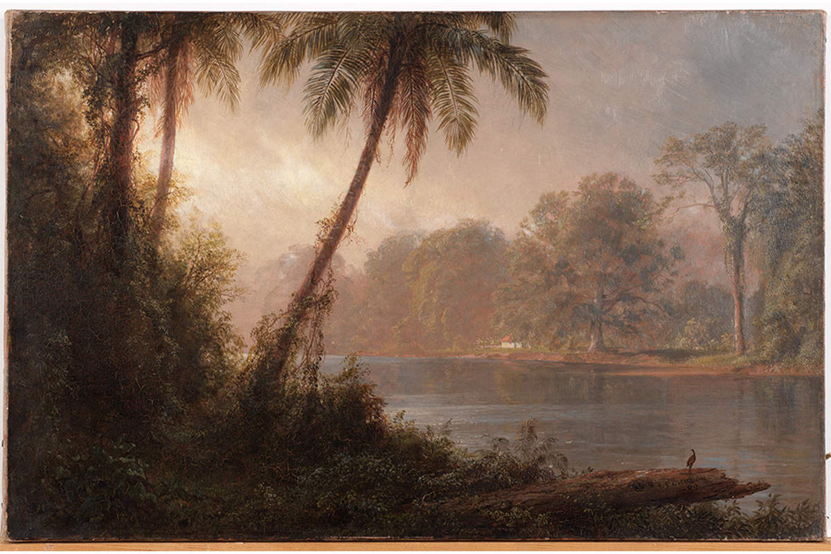 landscape with palm trees in the foreground and body of water in the background with light colored sky