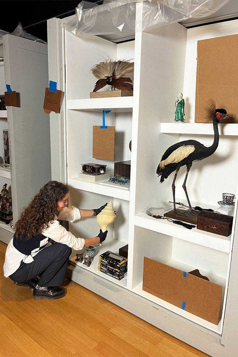 Lucy crouched in front of a large display cabinet holding a conch shell in place for a potential display.
