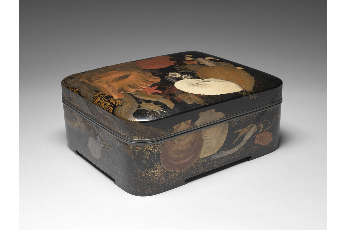 ornamental box with imagery on it including sea shells and seaweed