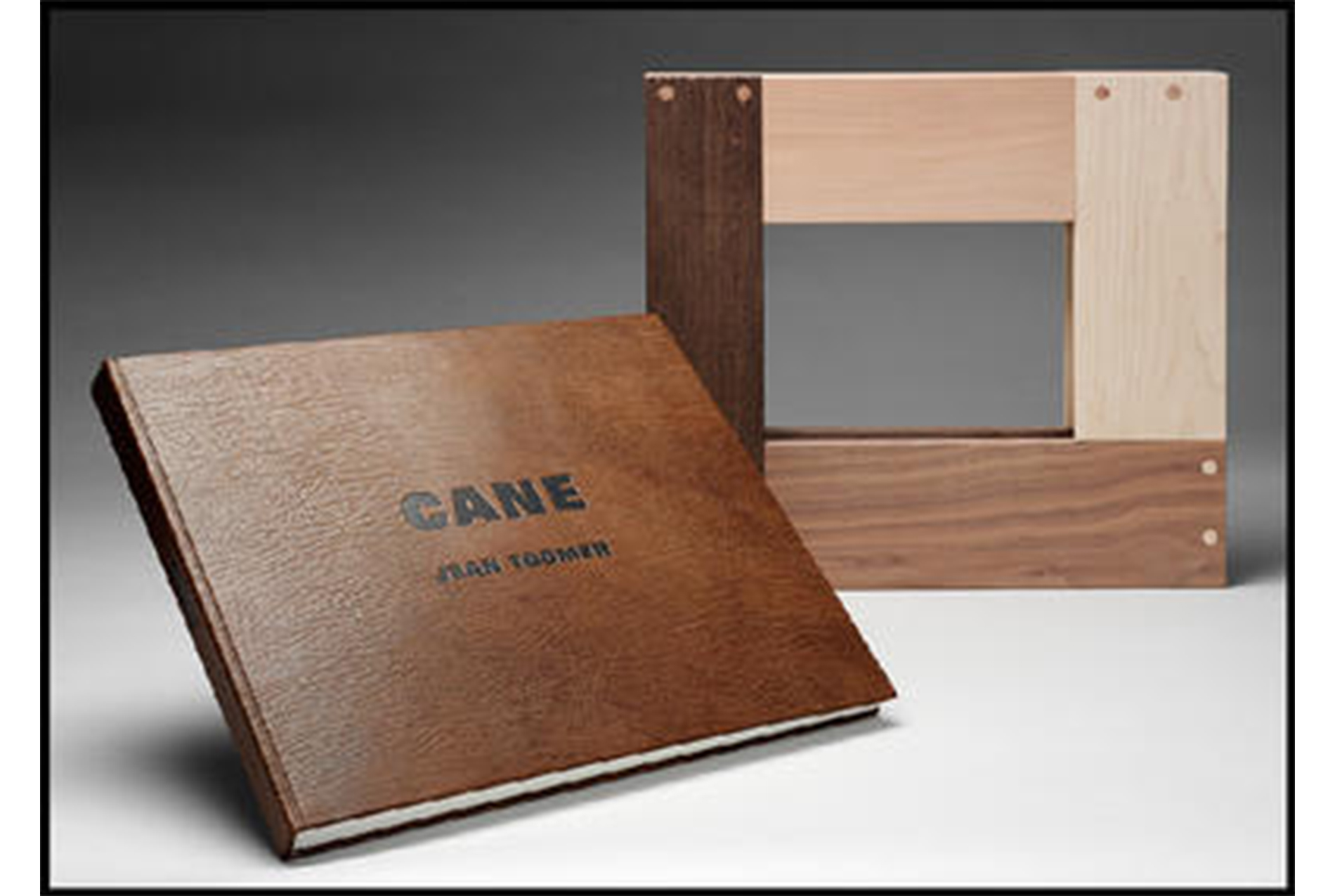 leather-covered book that says "CANE" in black on the cover, propped up next to a wooden frame made with four pieces of differently-colored wood