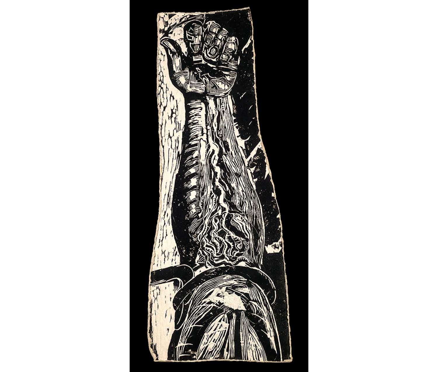 long vertical muscular arm showing interior veins and arteries