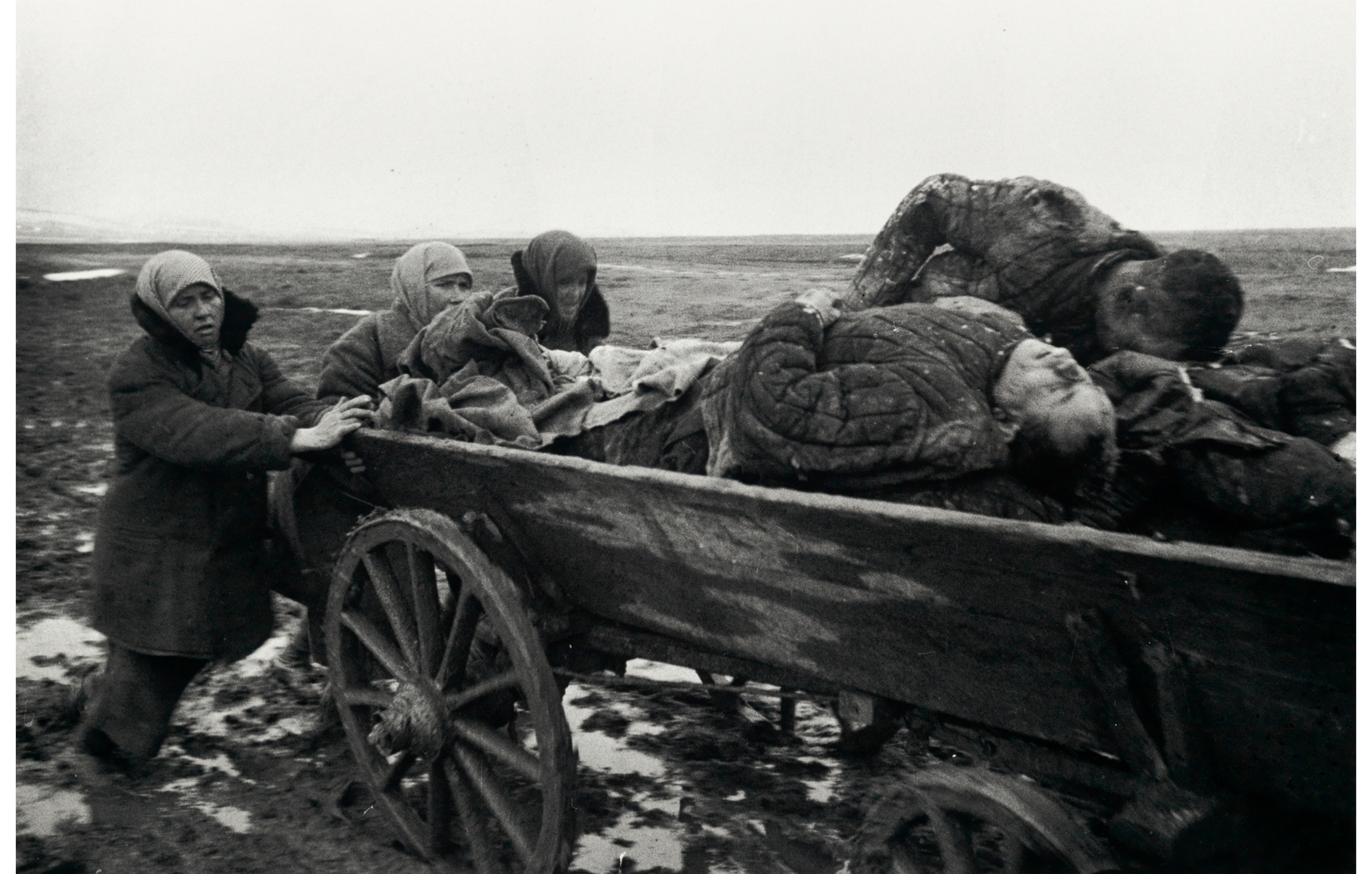 open field, women pushing wooden cart with dead soldiers piled in it