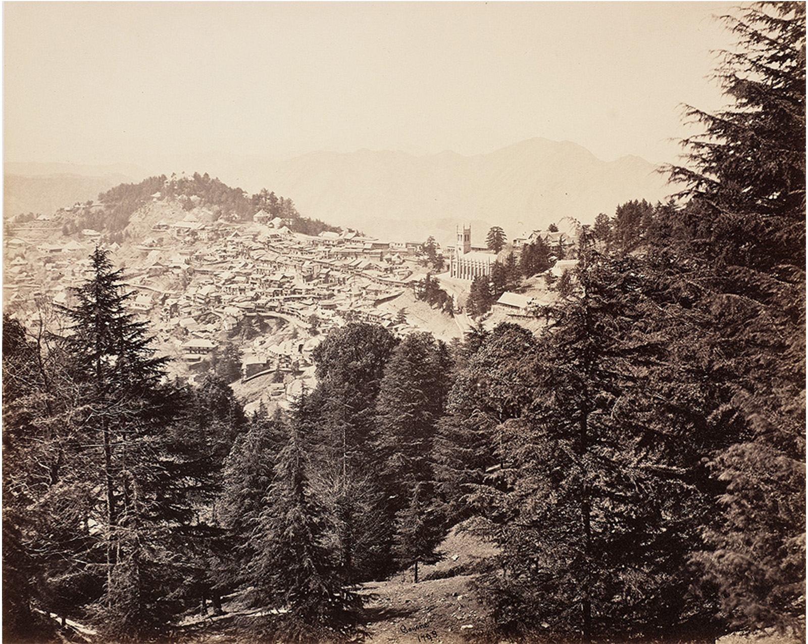 black and white image. foreground: large pine trees along a mountainside. background: a sprawling town with buildings on mountains, another mountain in the distant background