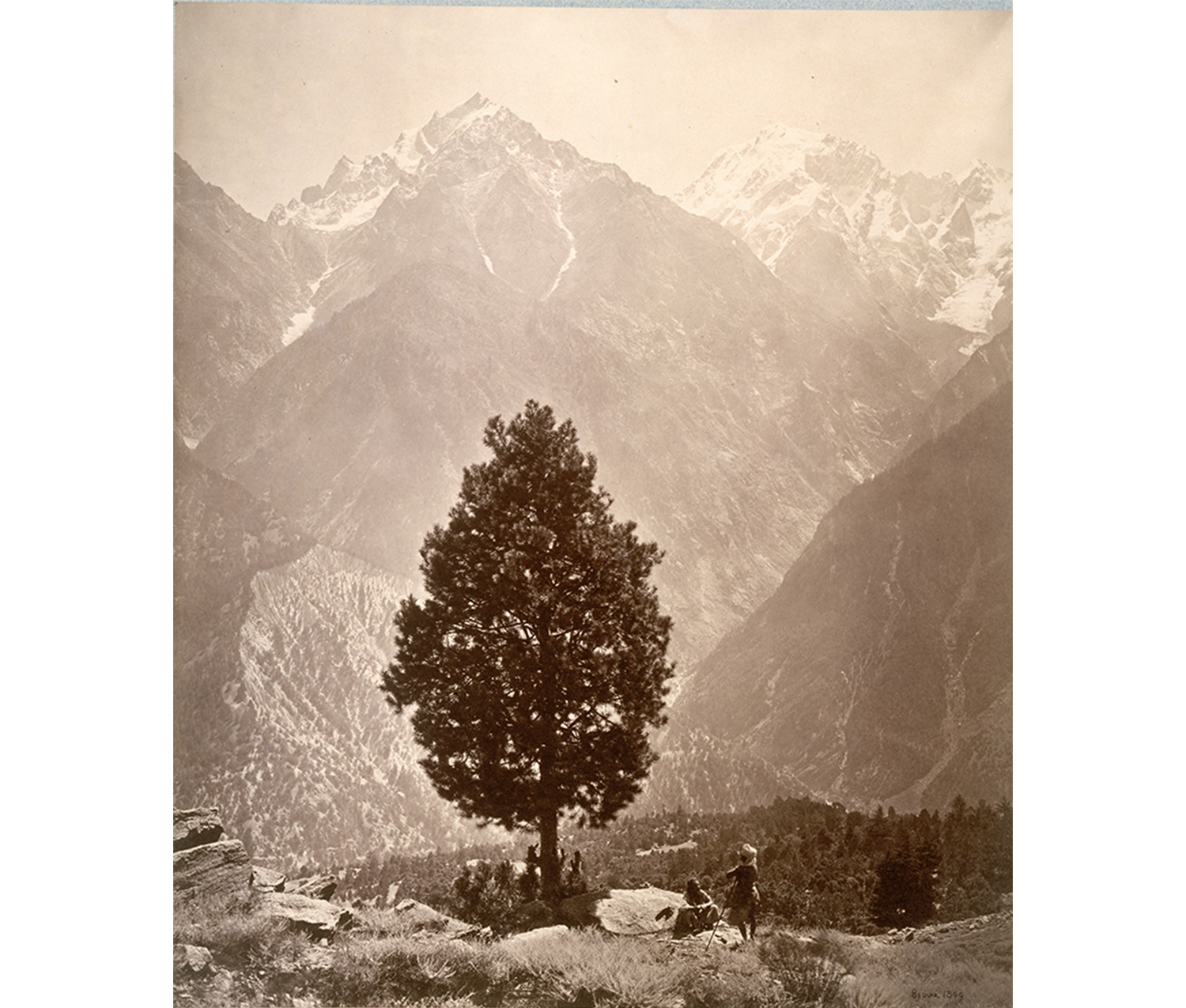 black and white image of lone pine tree with mountains in background and two figures underneath