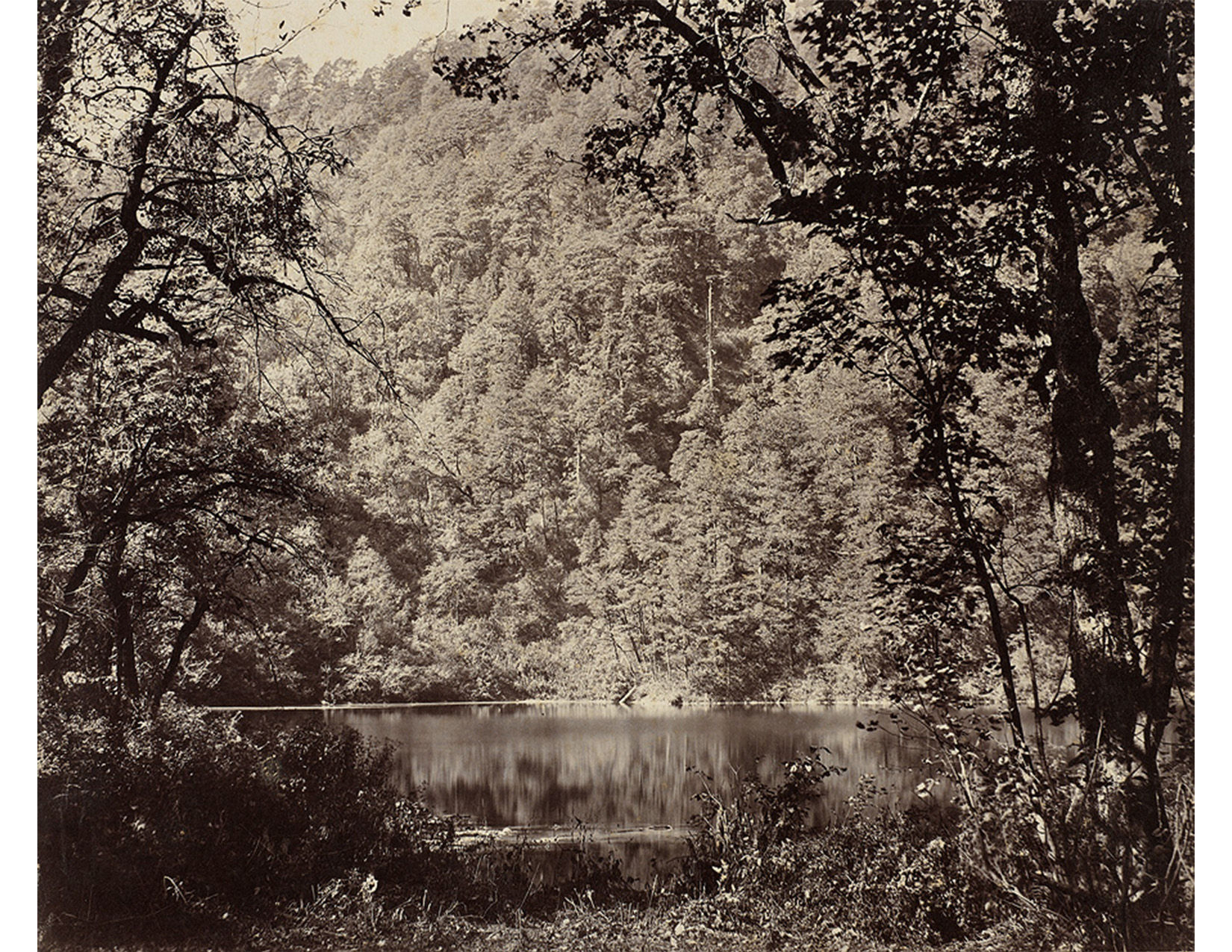black and white view of lake through trees
