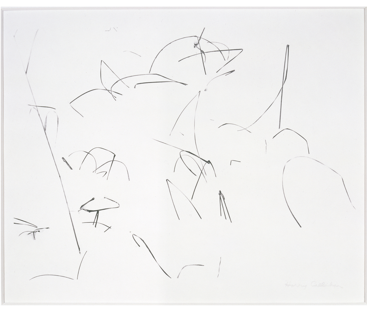 abstract drawing of black lines against a white background, representing grass sticking up in the snow