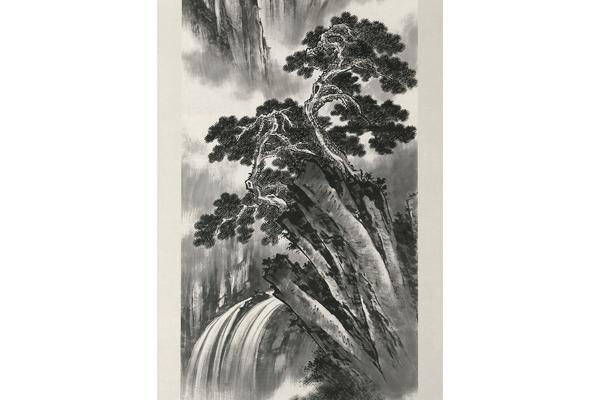 "pine tree above a flowing waterfall"
