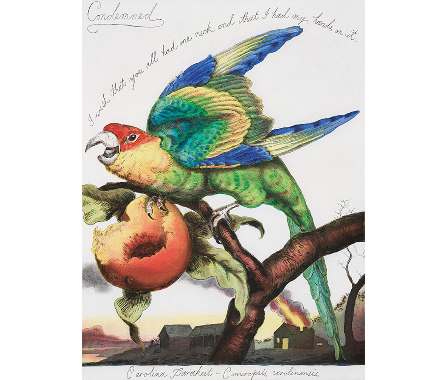 landscape with barns and house across bottom, pink and yellow sunset at horizon edge moving up to a pale blue sky, peach tree branch with large half-eaten peach and colorful parakeet with wings up, text hand written around bird, "Condemned" hand written below bird
