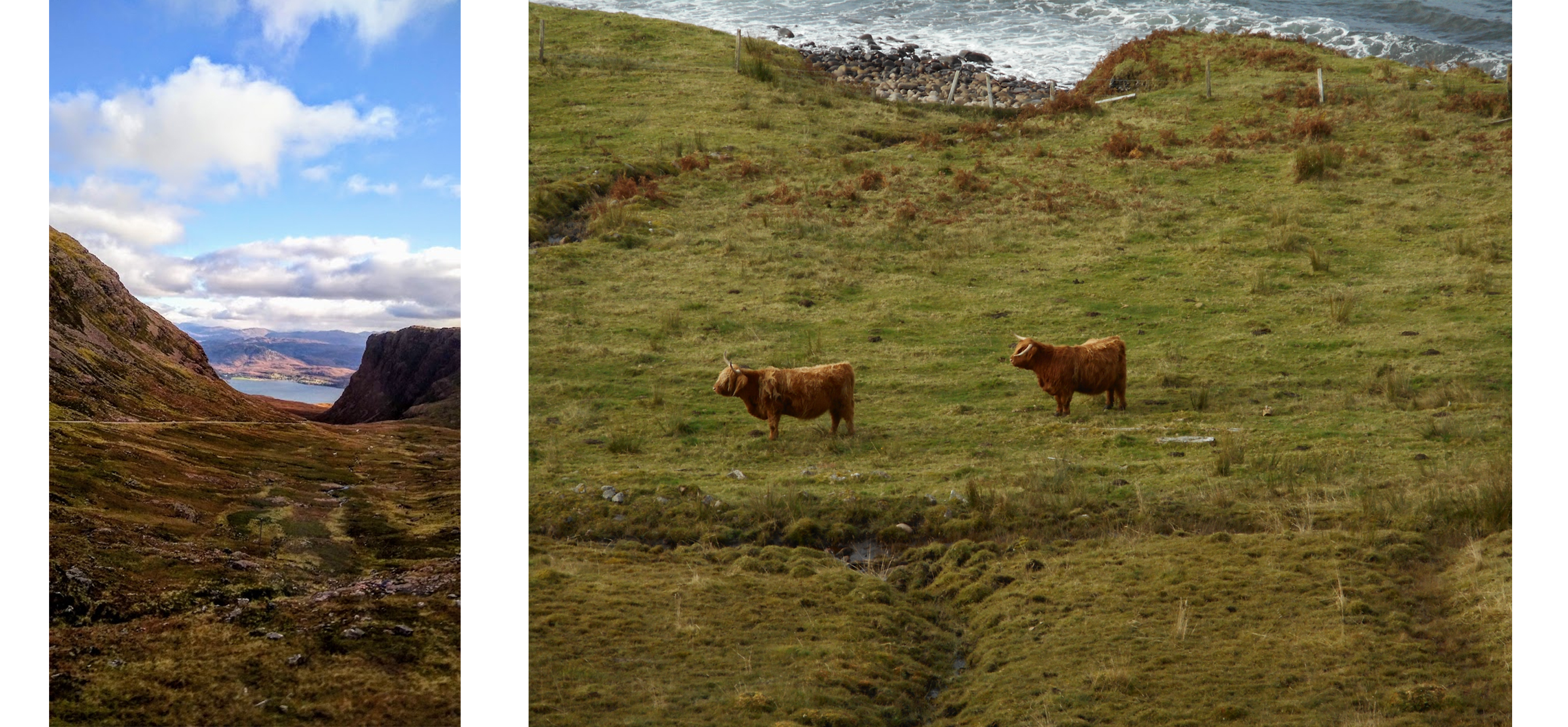 left: landscape with mountains on either side and water in the middle. right: leafy green landscape with cattle in center, water at edges