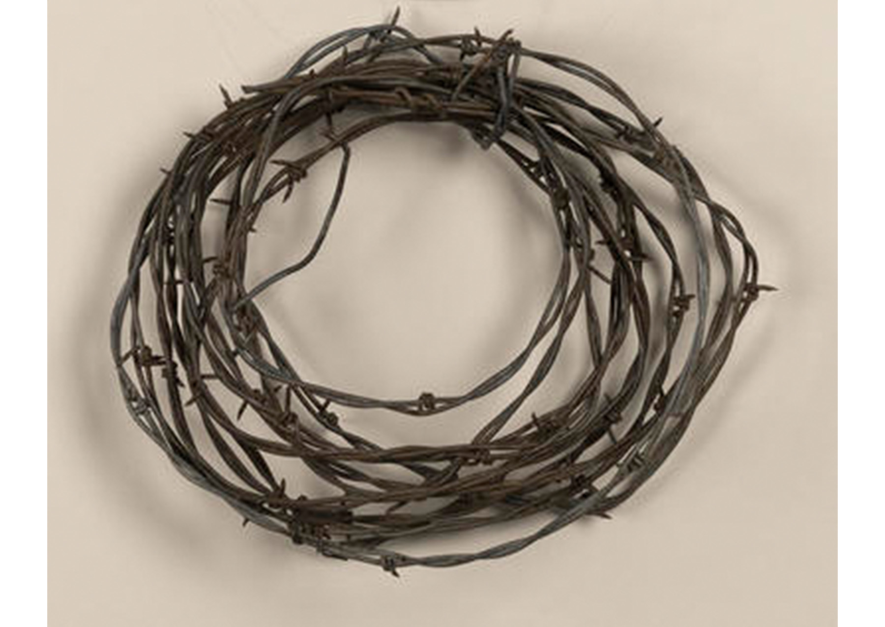 a circlet of barbed wire