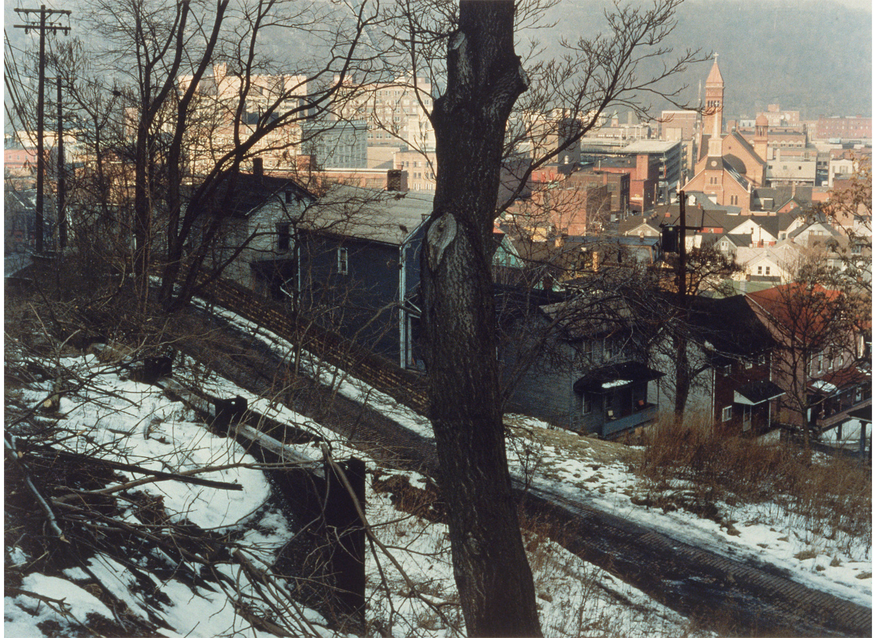 view of snowy trees and road, with buildings in the distance