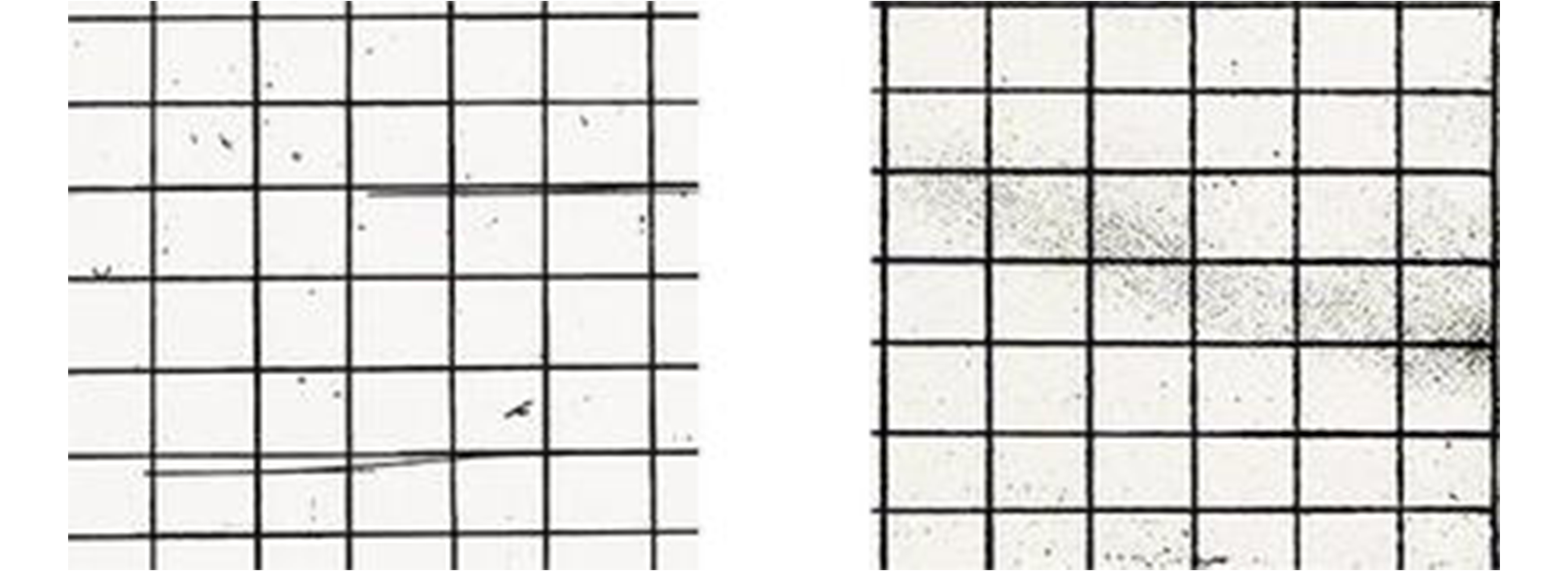 two images next to each other. both show black lines arranged in a grid, with miscellaneous smudges and scratches across them