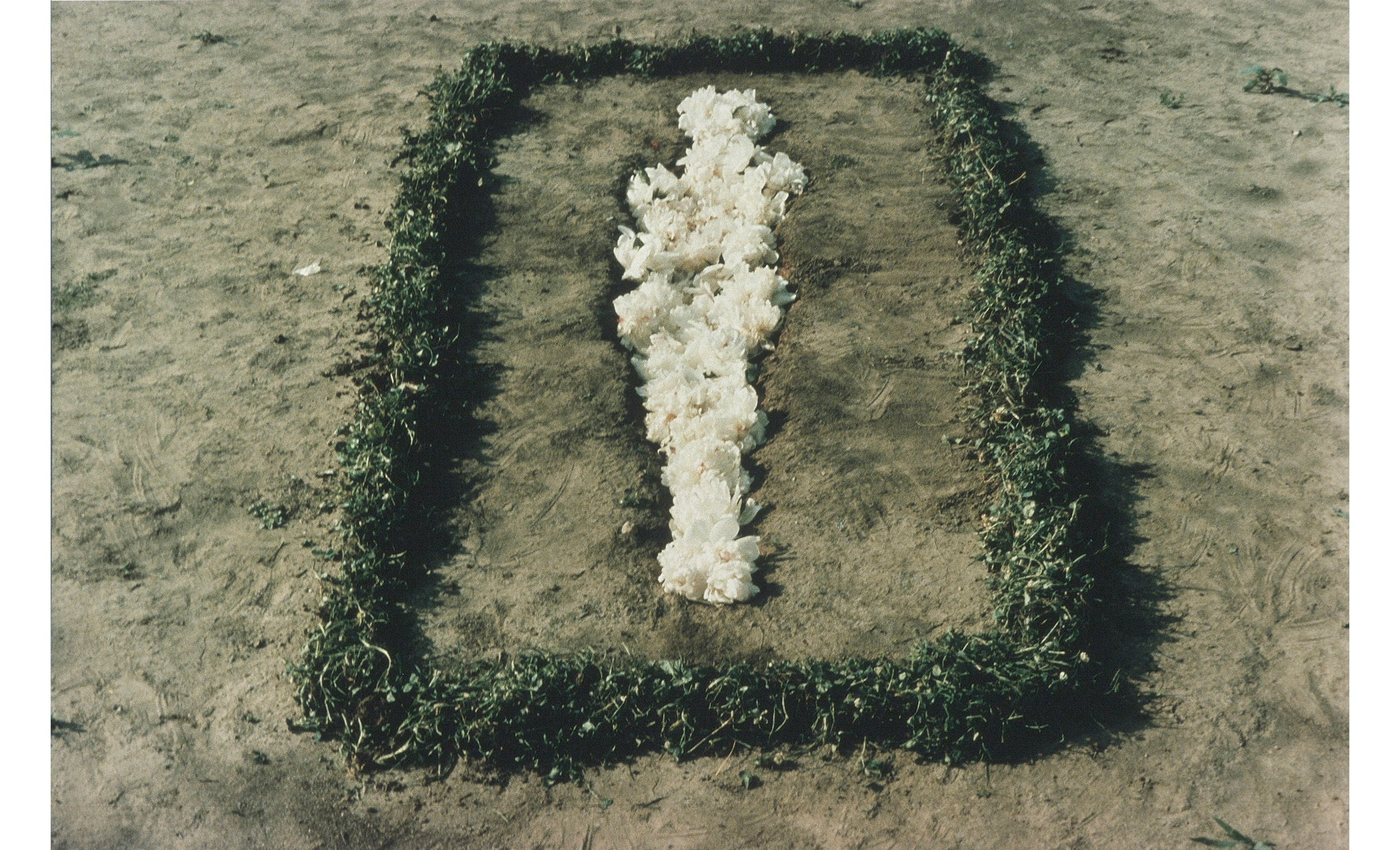 dirt ground, greenery placed into a rectangular shape around white flowers filling a figure shaped indentation in the ground