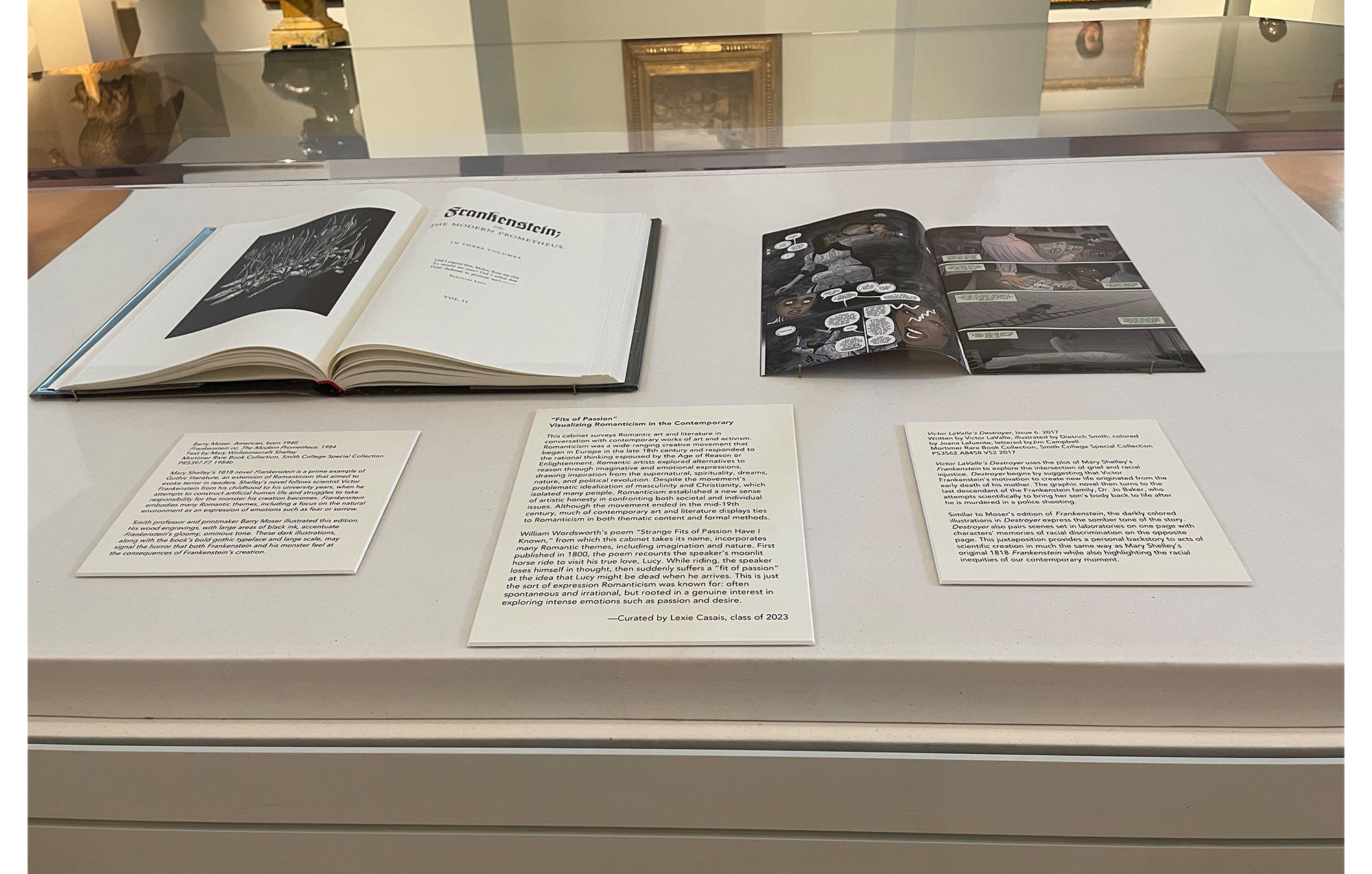 top vitrine of a display cabinet with two open books 