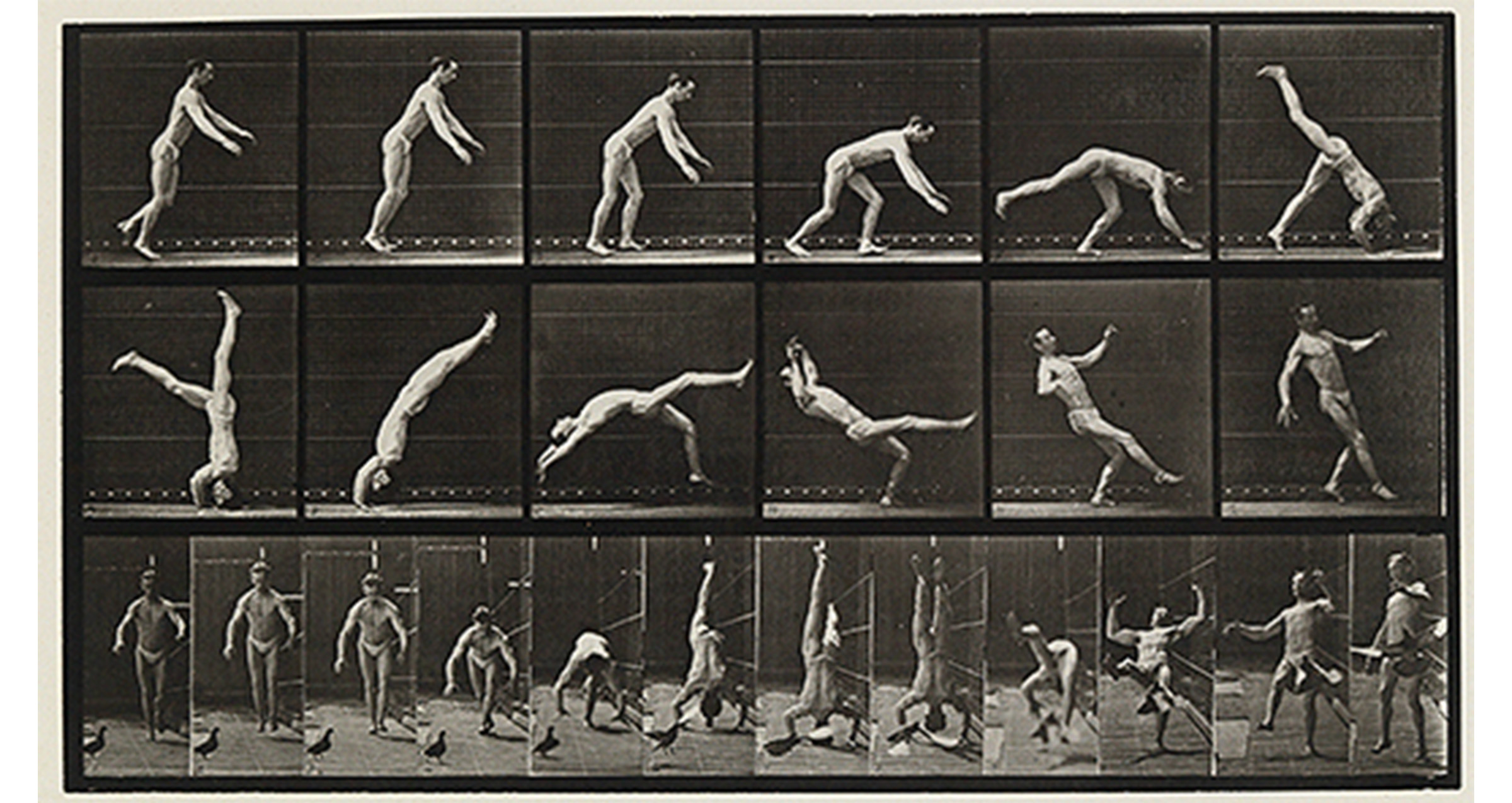 three rows of photos of man in varying stages of gymnastic poses