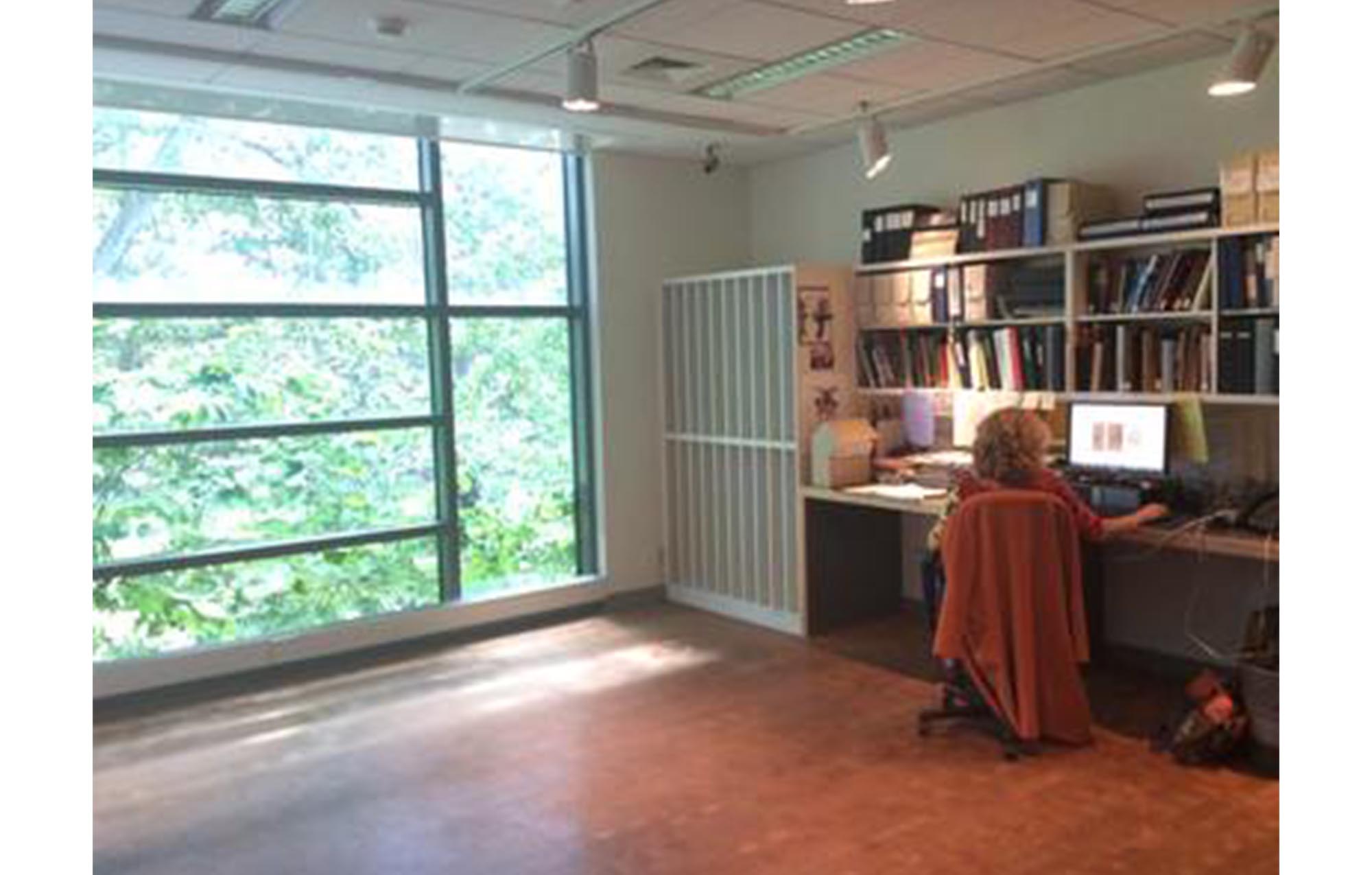 room  with wooden floors, back wall has floor-to-ceiling windows showing green trees outside. woman sits at a desk along the right wall, working at a computer