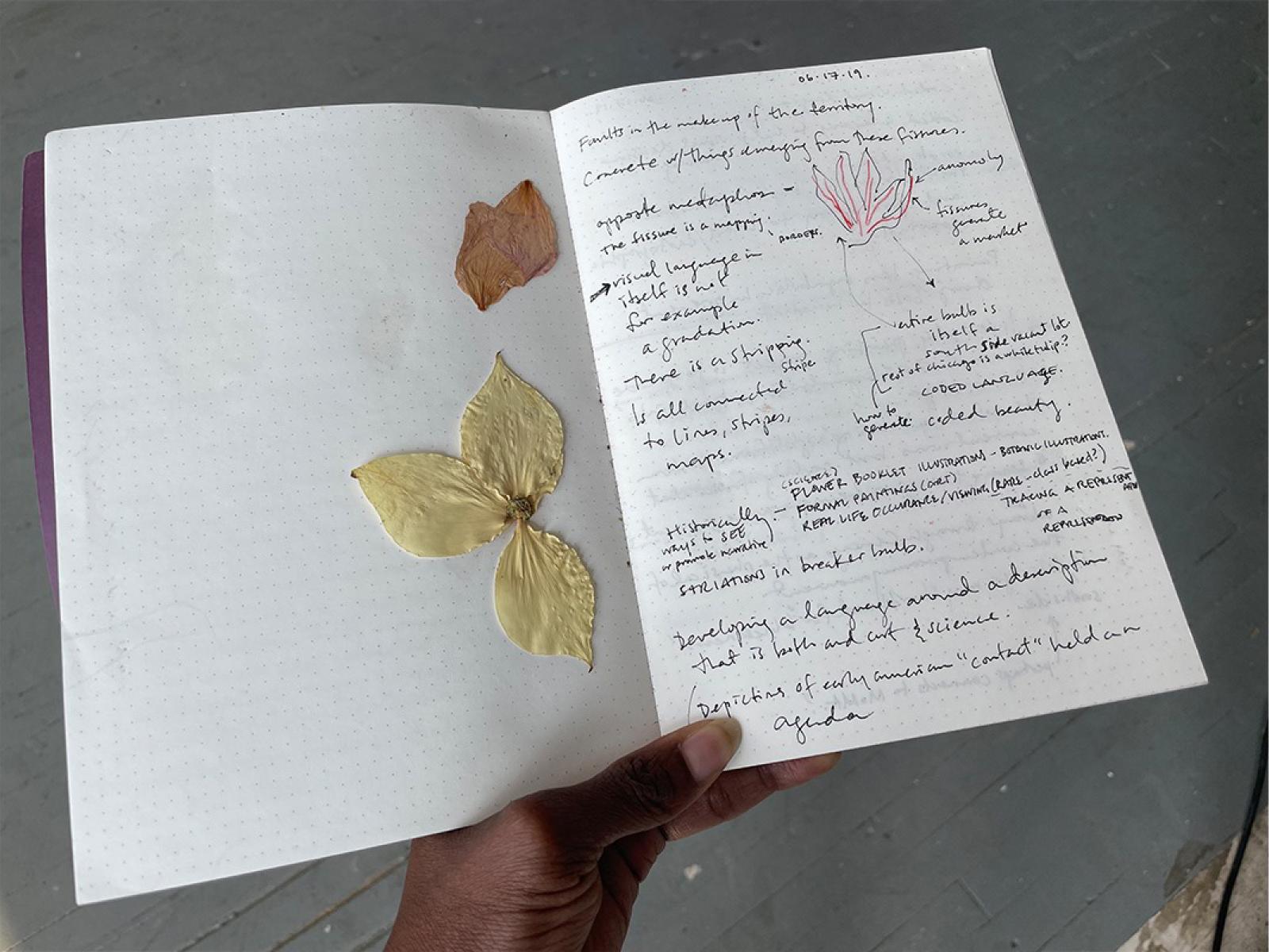 A hand is holding an open notebook with pressed flower petals and notes on planting tulips.