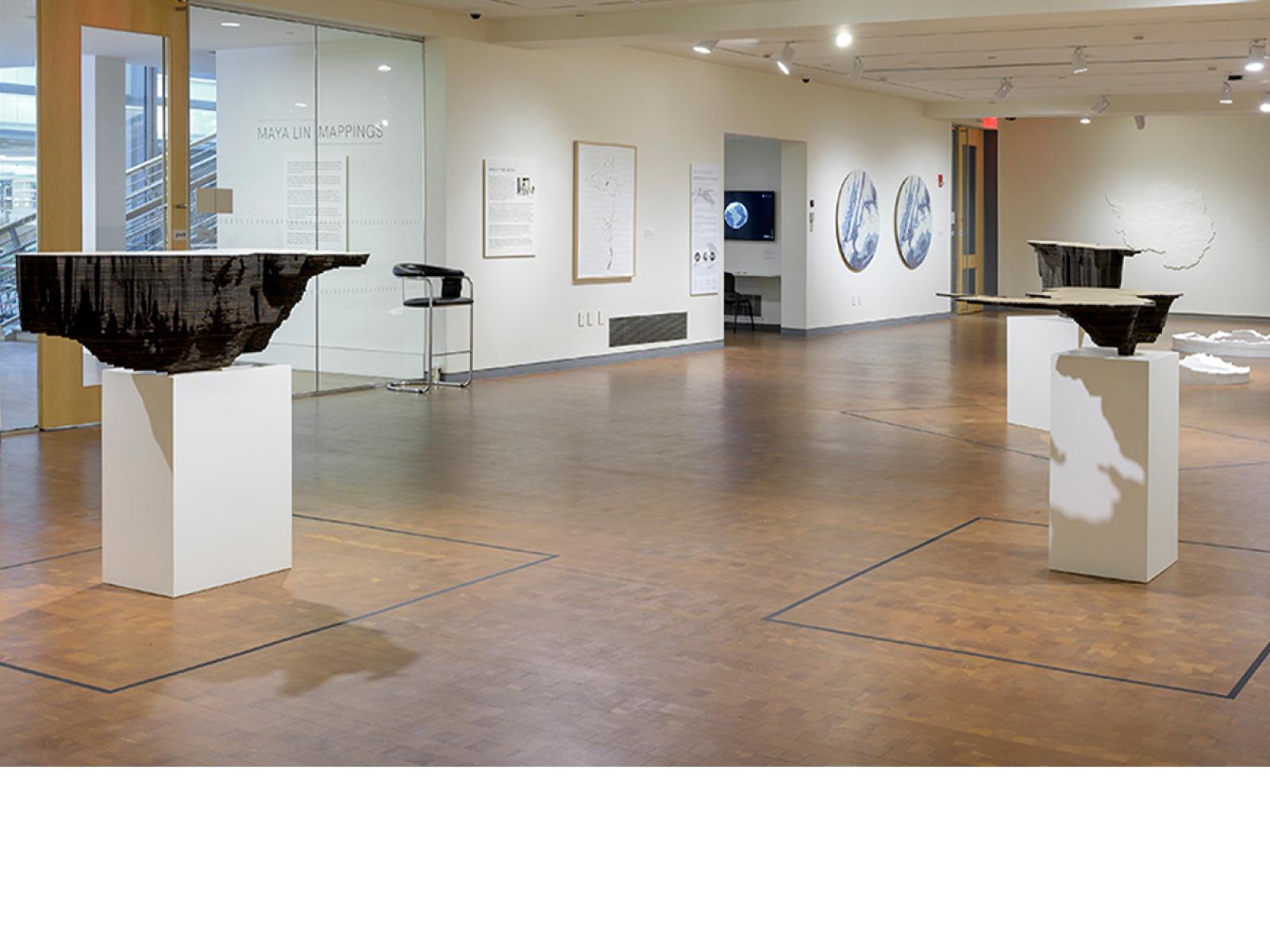 Horizontal image of the Maya Lin Mappigns exhibitio installation with two pieces of pedastal in middle of gallery and artwork on the walls