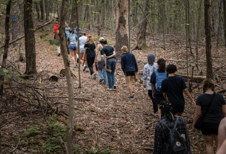 A line of people walking single file down a path in the woods 