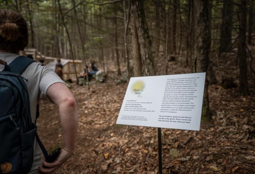 Back of a person in front of a sign in the woods