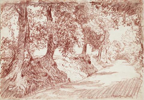 Reddish-brown drawing of a dirt road lined with trees, sun coming through the branches
