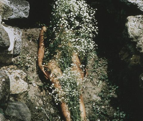 low rock walls around central area, nude female with arms by her sides lying supine underneath white long stemmed flowers