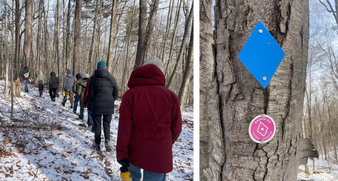 a line of people in coats with snow on the ground walking through the woods on the left and on the right an image of a tree trunk with tree markers
